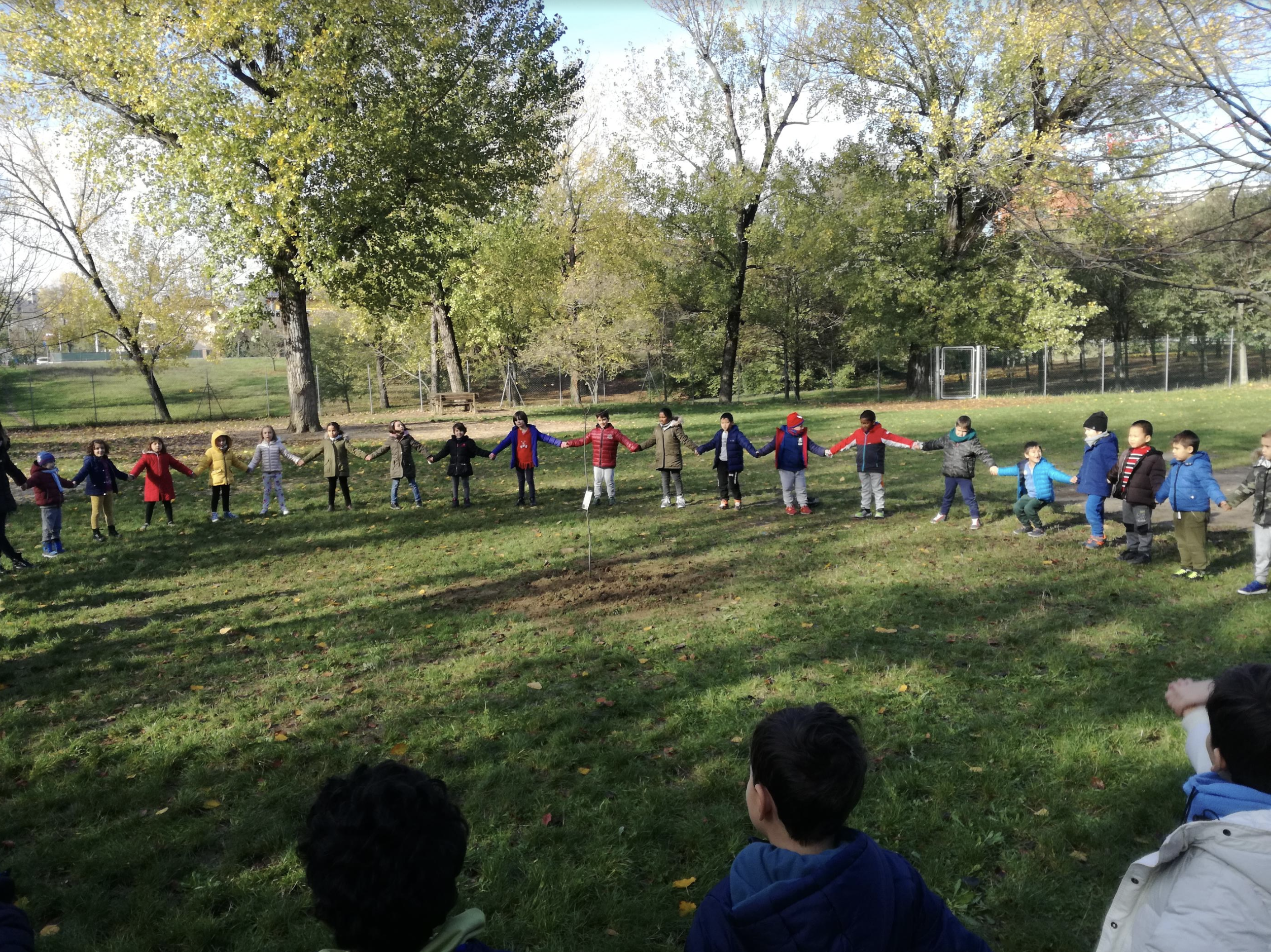 Giornata degli alberi. I bambini delle Grosso piantano Bagolaro
