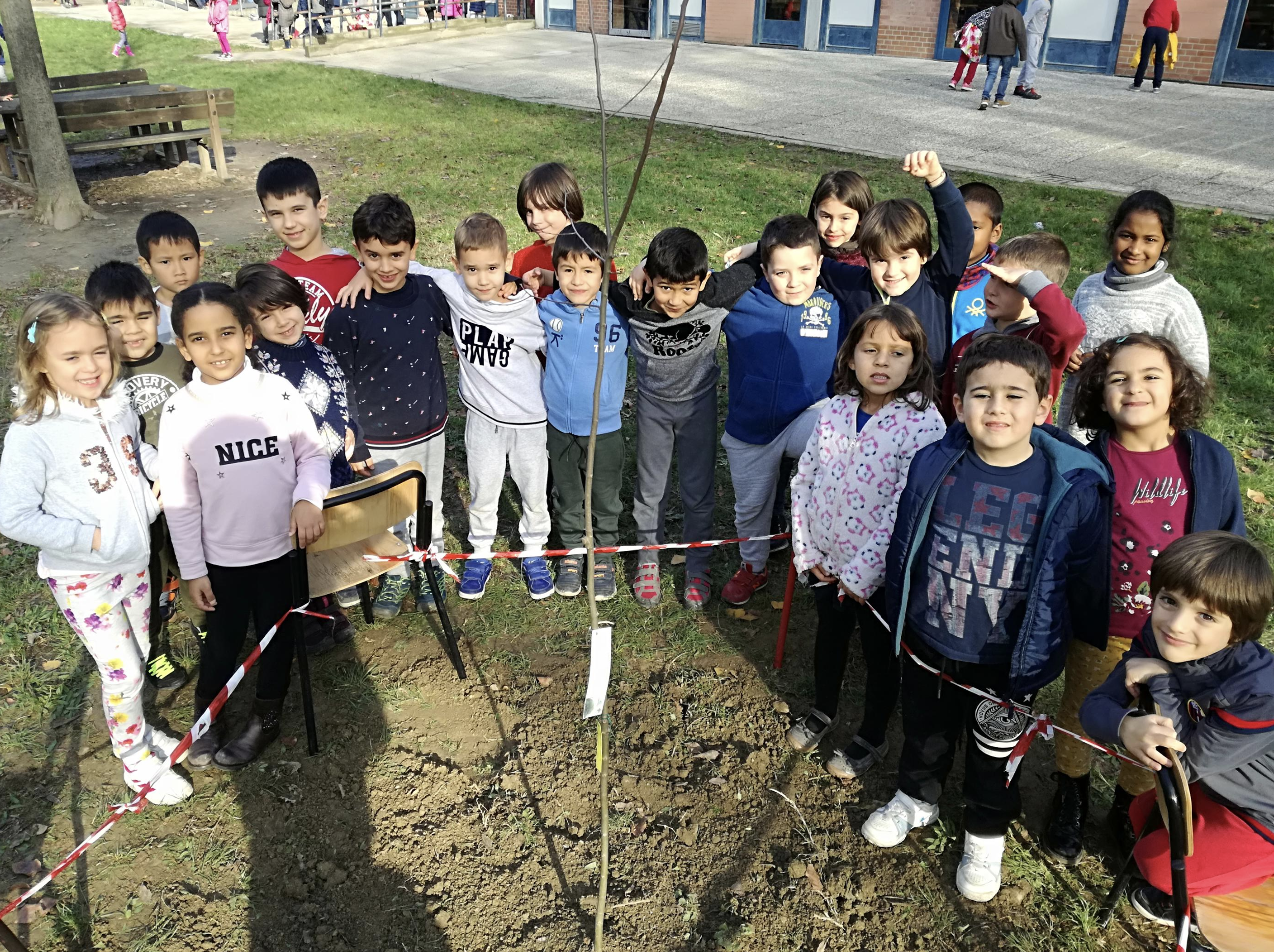 Giornata degli alberi. I bambini delle Grosso piantano Bagolaro