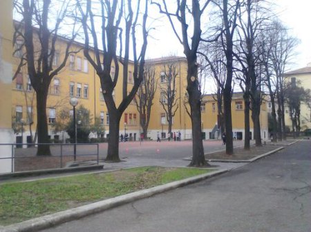 Immagine 5